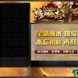 高端订制皮肤21