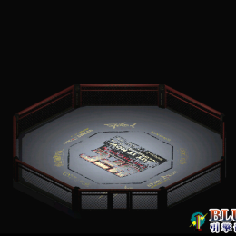 城市系列-八角擂台